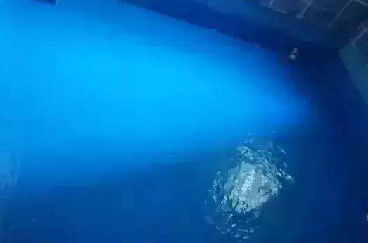 剛性防水怎么做,剛性防水材料常用有哪些？